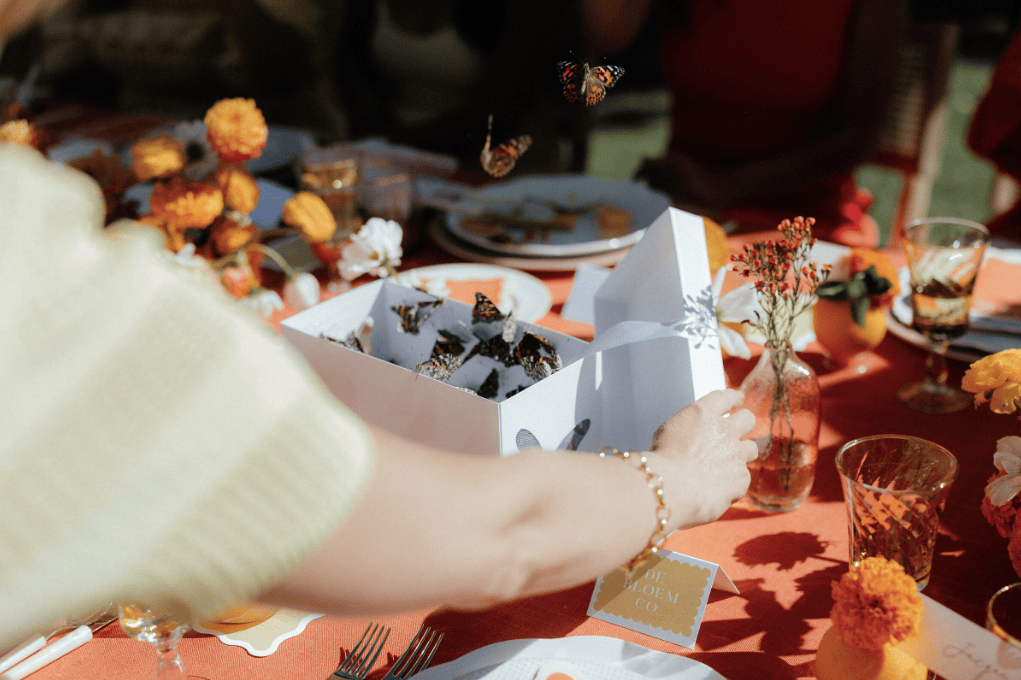 Releasing real butterflies at Ingleside Estate for a welcome brunch celebration